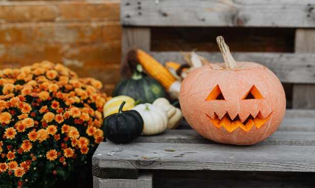 Halloween: as fabulosas propriedades das Abóboras!