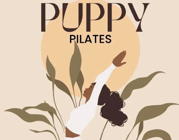 Pilates com cachorros (Puppyology)