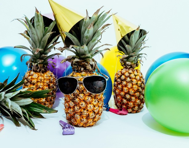 Festa de Verão: Celebração dos 4 elementos