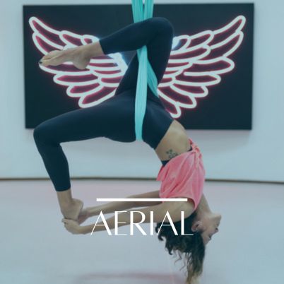 Go to Fly Yoga and Aerial Hoop